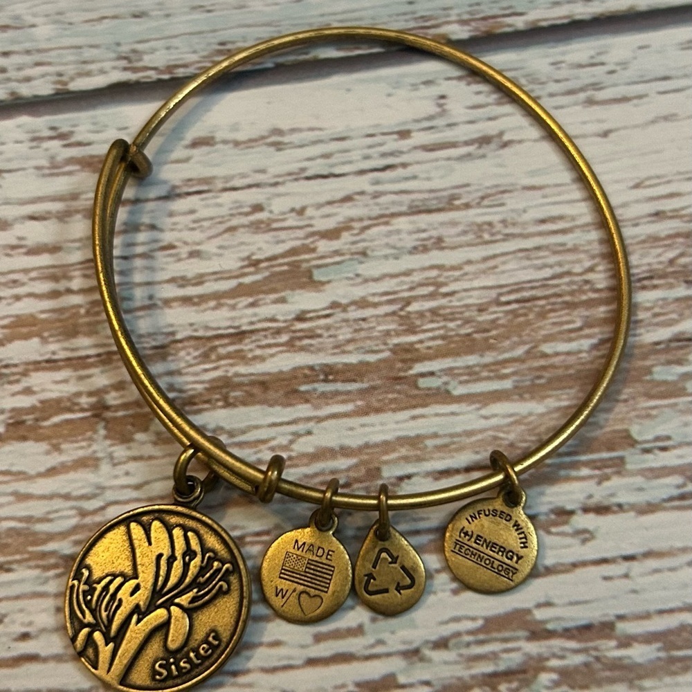 Alex and Ani Gold Sister 2015 Charm Bangle Bracelet